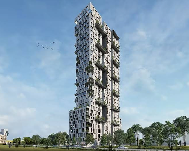 The Olive — Thane West