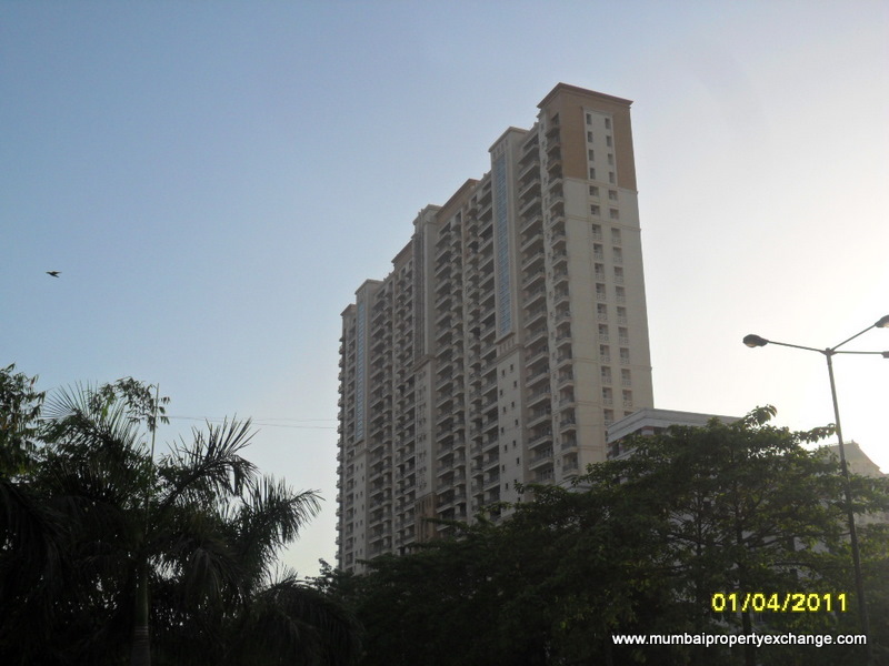 Tribeca — Thane West