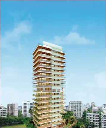 Orchid Breeze — Khar West
