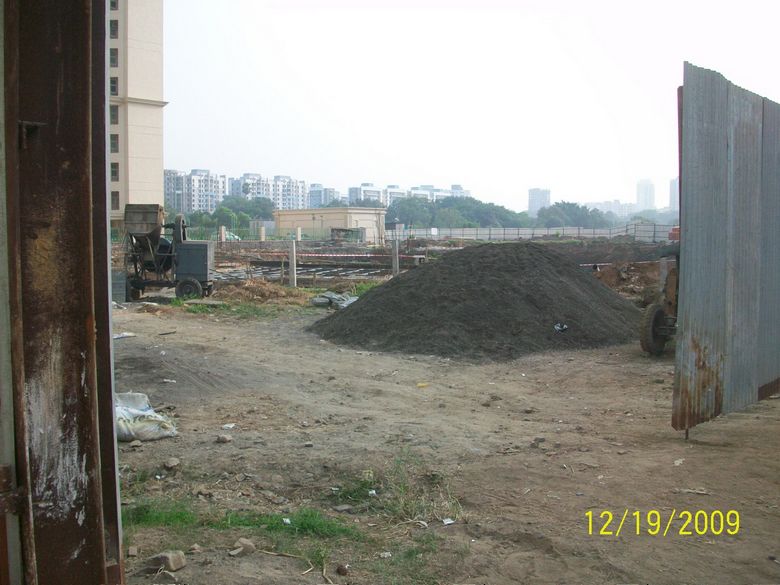Paloma — Thane West