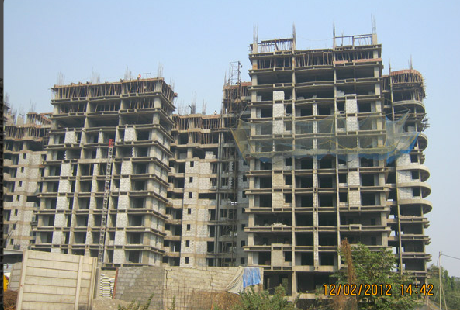 Cosmos Horizon — Thane West