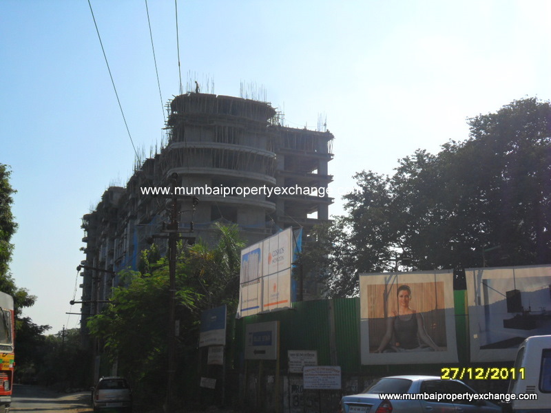 Cosmos Horizon — Thane West
