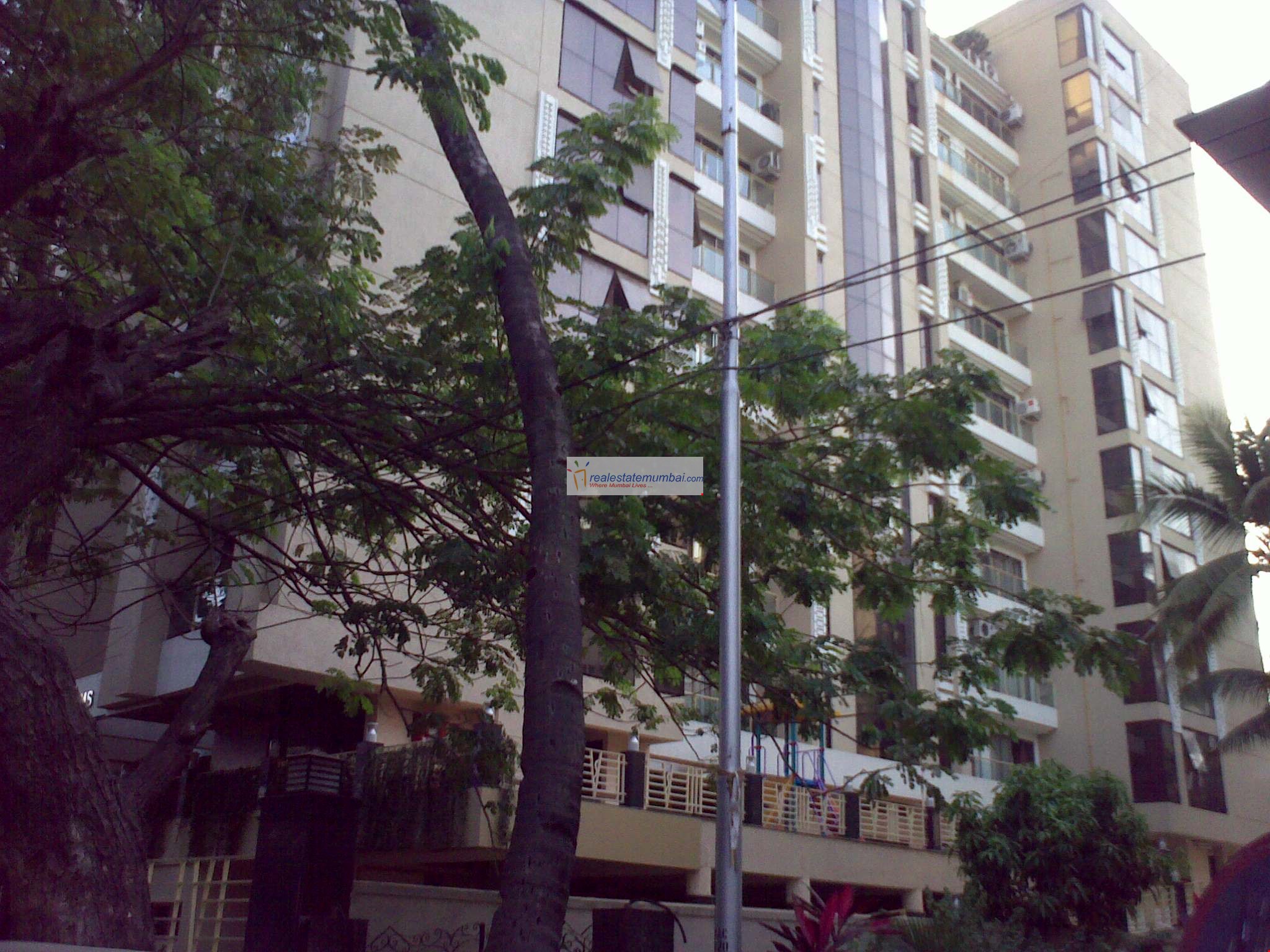 June Blossoms — Bandra West (2)