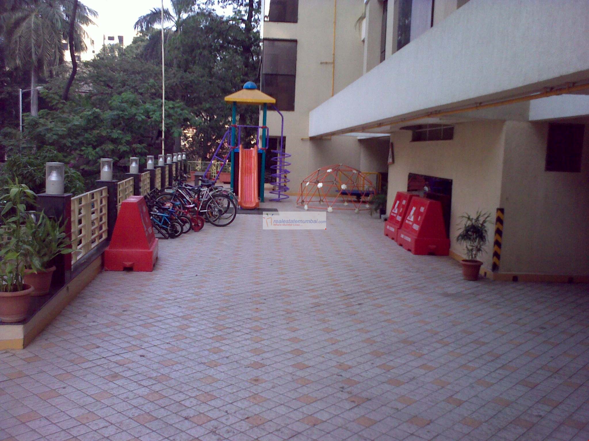 June Blossoms — Bandra West (4)
