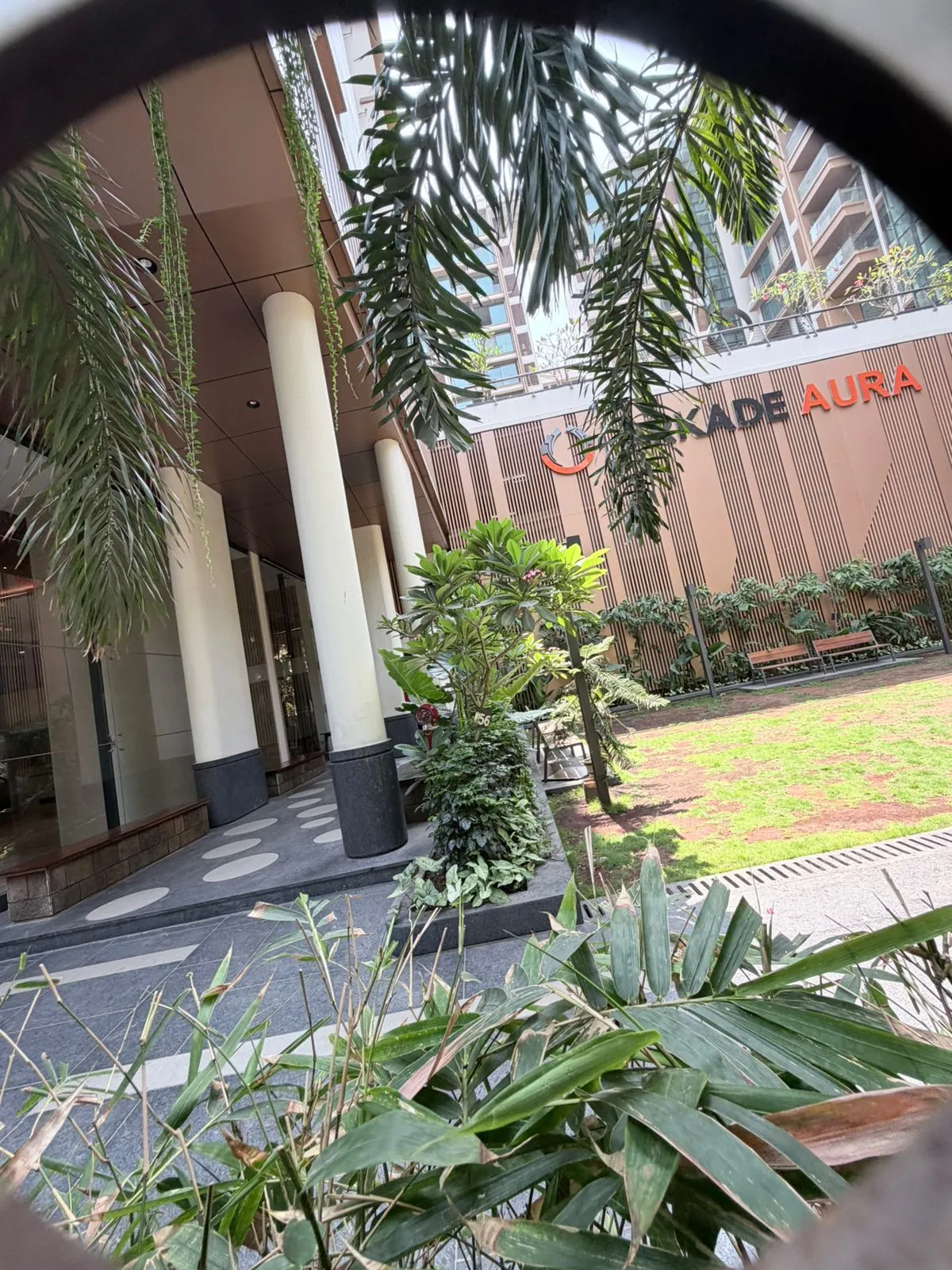 Arkade Aura — Santacruz West (7)