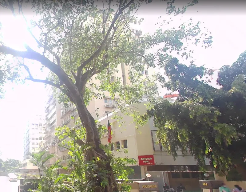 Arcadia — Nariman Point (1)