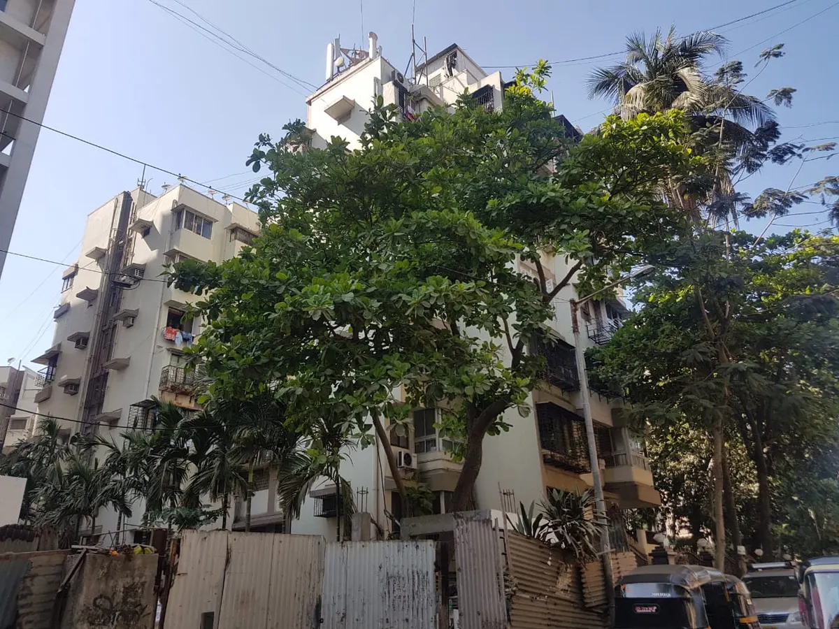 Ivory Tower — Juhu (1)