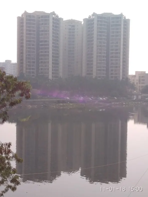 Lake Primrose — Powai (1)