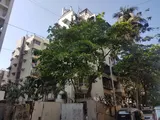 Photo 1 of Ivory Tower