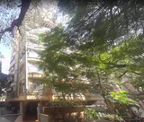 Photo 2 of Dilrag in Juhu
