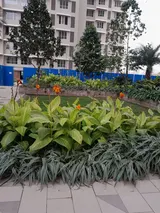 Photo 5 of Kalpataru Radiance in Goregaon West
