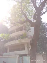 Photo 1 of Supreme Pearl in Khar West