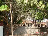 Photo 3 of Niharika in Thane West