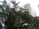 Photo 6 of Ever Glades in Bandra West