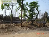 Photo 2 of Cosmos Springs Angle in Thane West