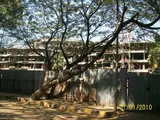 Photo 7 of Rajshree Daisy in Chembur