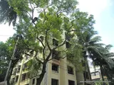 Photo 3 of Meenakshi in Goregaon West