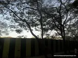 Photo 4 of Spring Grove in Kandivali East