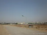 Photo 2 of Rising City Dahlia Emilia in Ghatkopar East