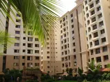 Photo 4 of Palm Court