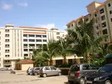 Photo 5 of Palm Court