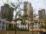 Photo 3 of Ashok Towers - D Wing in Parel