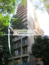 Photo 4 of The Amazing in Khar West