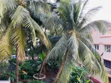 Photo 2 of Asuda Kutir in Bandra West