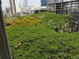 Photo 2 of Mittal Aristo in Parel