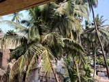 Photo 2 of Oyster Shell I in Juhu