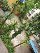 Photo 1 of Udadhi Tarang in Juhu