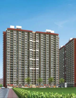 Terra, Vasai