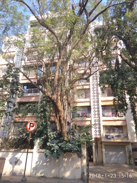 3 BHK Dream Queen