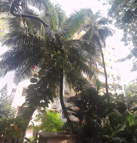 2 BHK Sunshine Apartment in Breach Candy