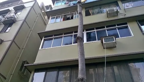 2 BHK Daulat Shirin in Colaba