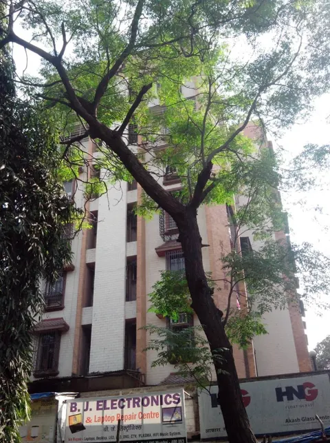 1 BHK Kingston Apartment