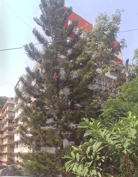 3 BHK New Shree Niketan in Walkeshwar