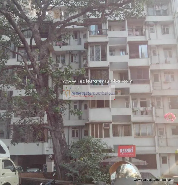 Deep Bella — Bandra West (1)
