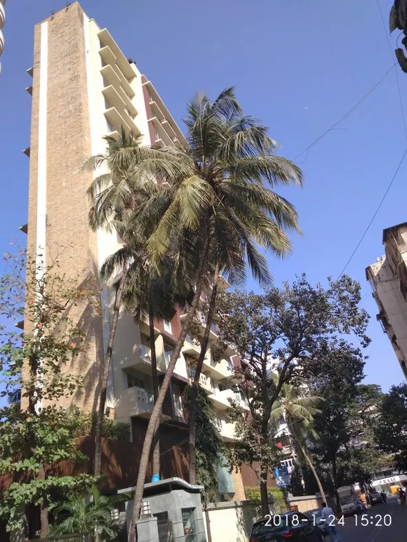 Mehrise — Santacruz West (2)