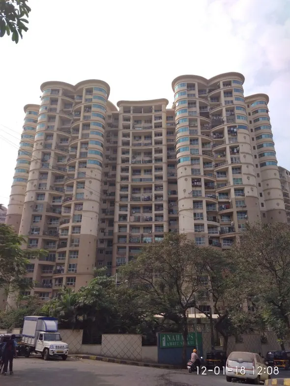 Jonquille and Jamaica — Powai (1)