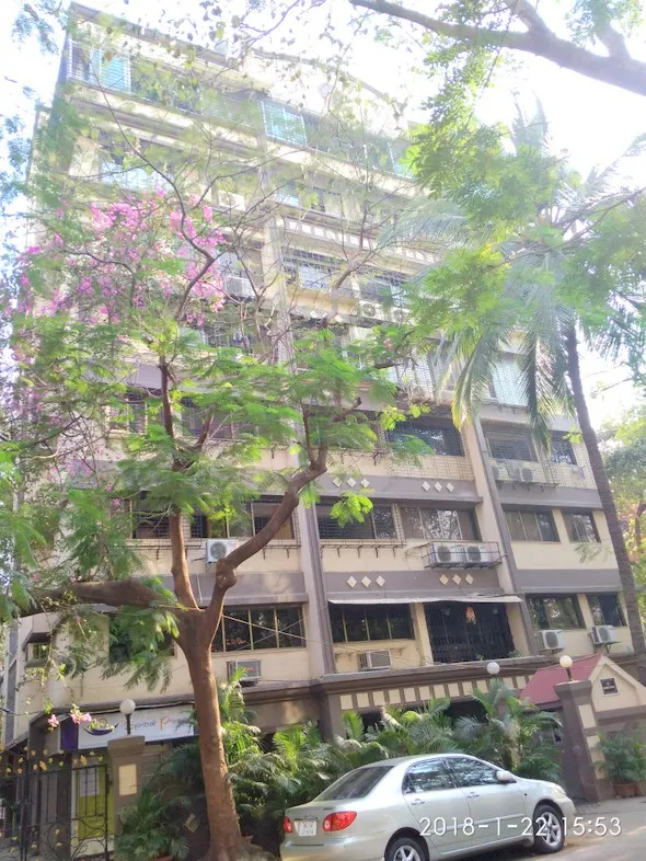 Bamboo House — Santacruz West
