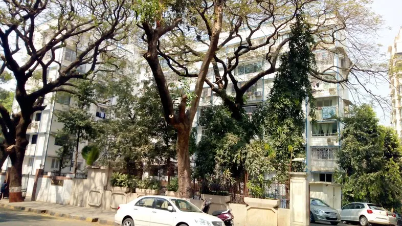 Mangal Kunj — Walkeshwar (1)