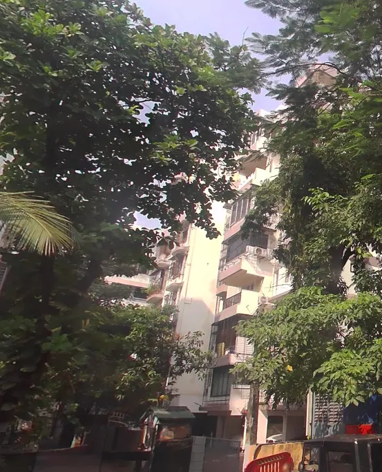 Green Field — Juhu (1)