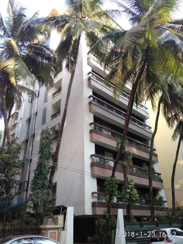 Elegant Orchid — Santacruz West