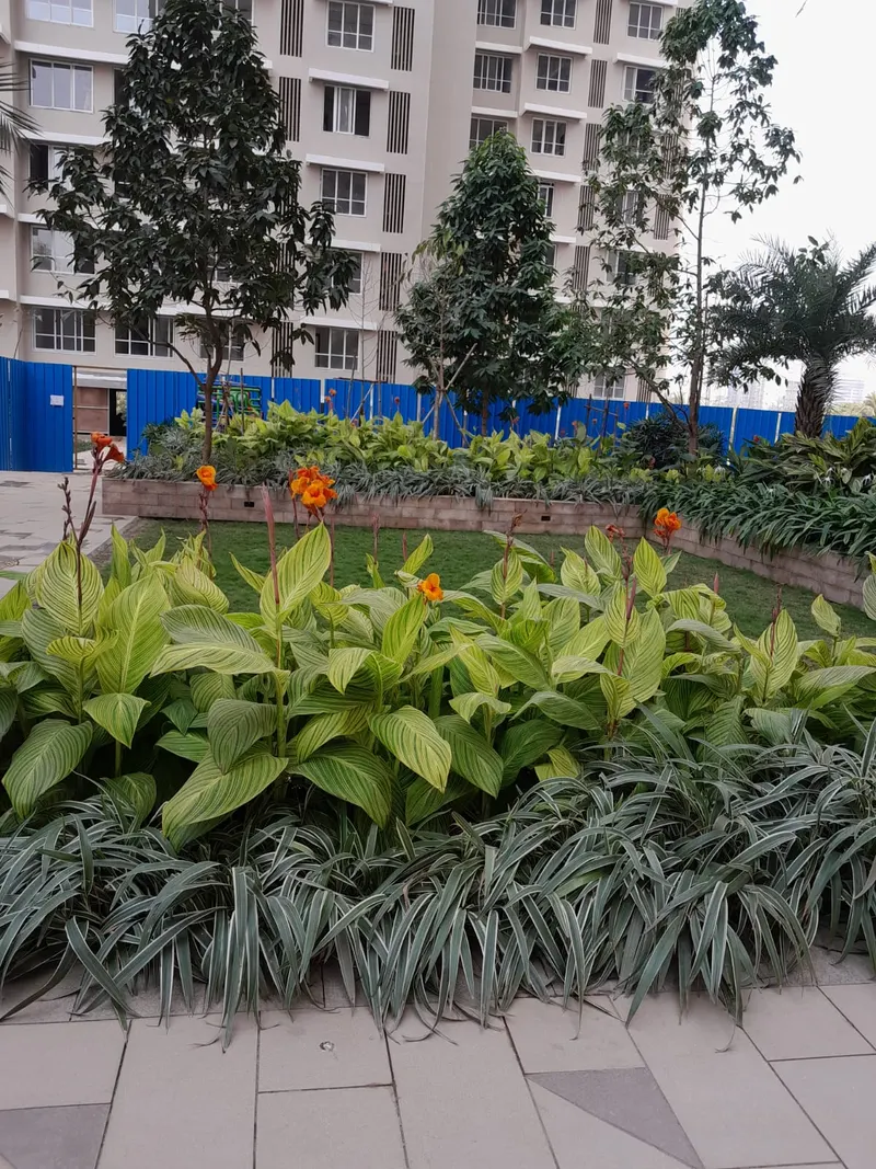 Kalpataru Radiance — Goregaon West (5)
