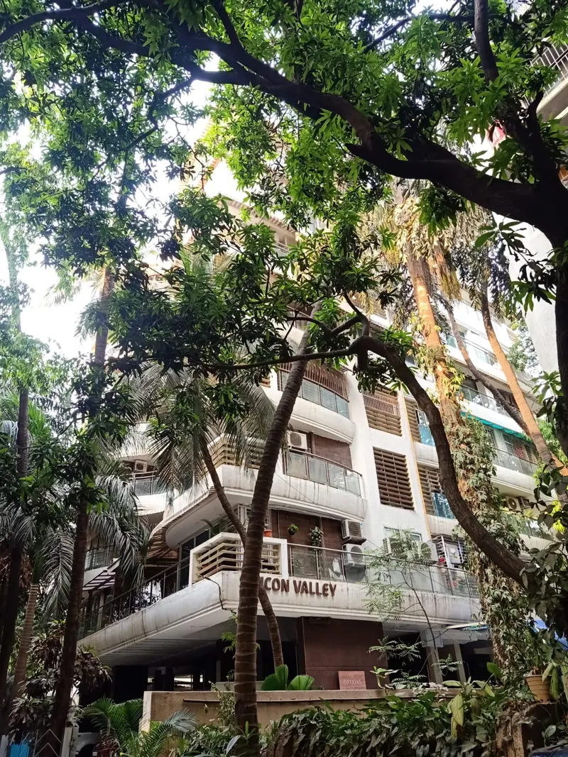 Silicon Valley — Santacruz West (2)