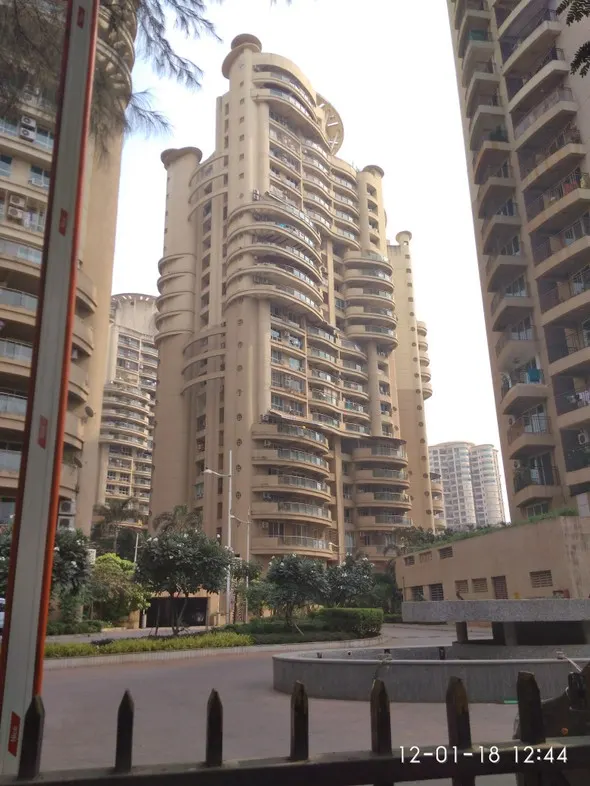 Tulipia and Tilia — Powai (1)