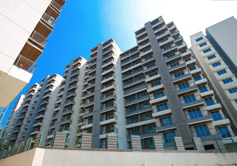 Insignia — Santacruz East (1)