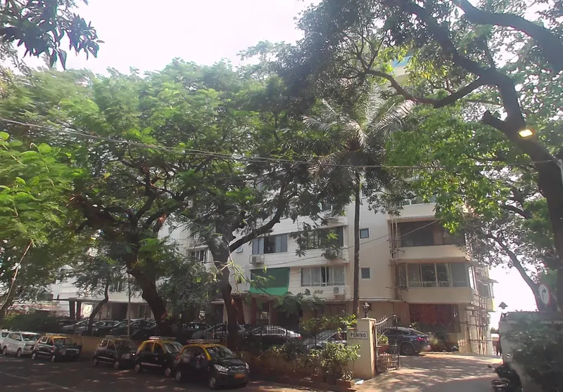 Pemino — Altamount Road