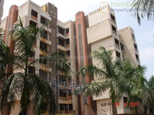 Blue Ocean — Kandivali West (5)